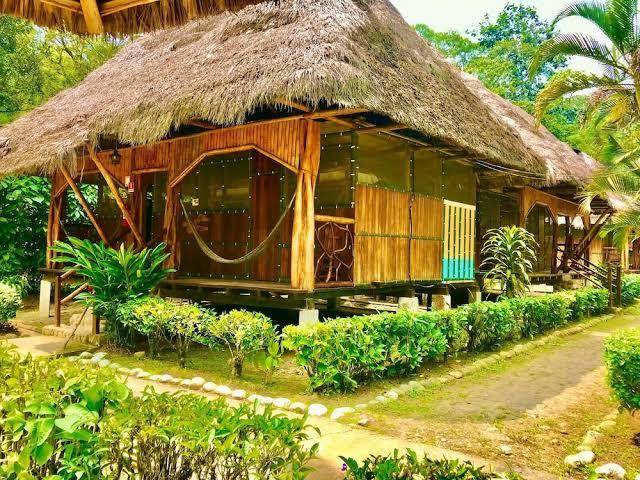 Isla ecologica mariana miller