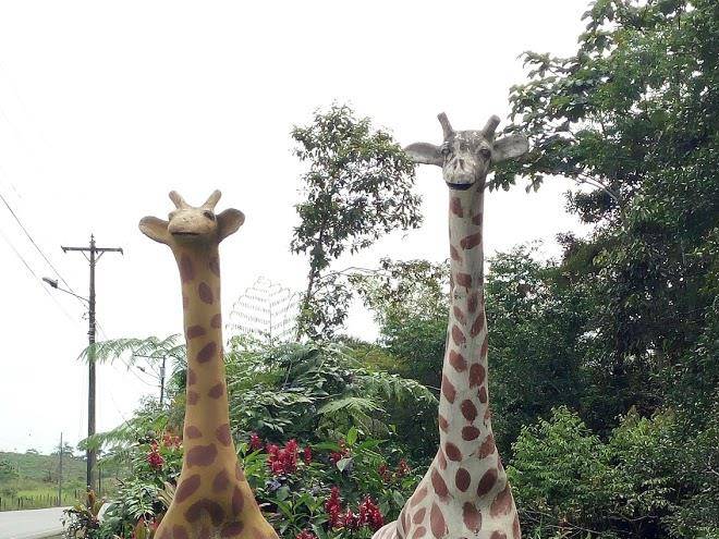 Hosteria Safari Image