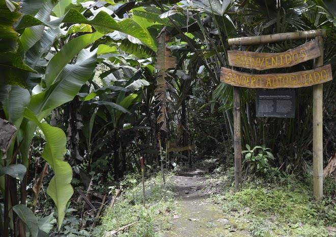 Maquipucuna reserve & ecolodge