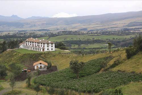 Cotopaxipungo