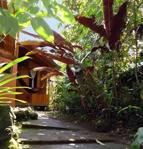 Cabanas armonia y jardin de orquideas