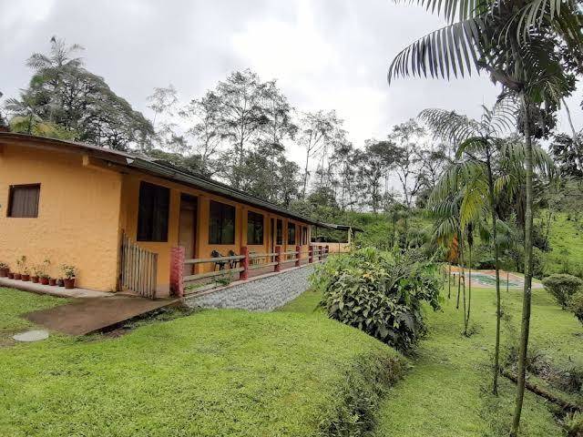Mindoloma bird lodge
