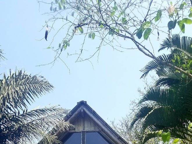 Samai ocean lodge spa
