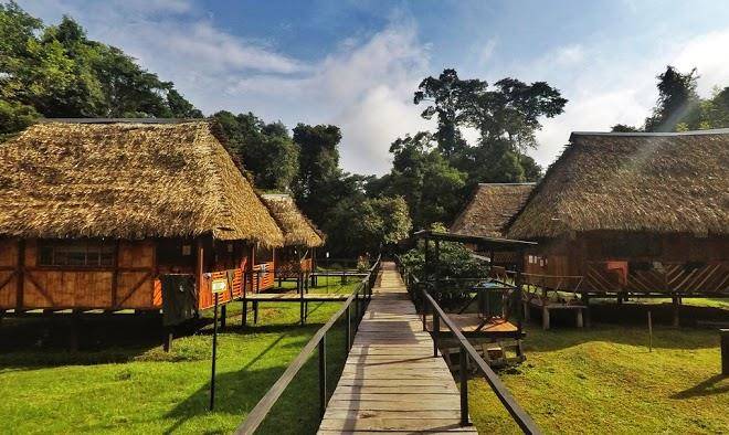 Green forest ecolodge