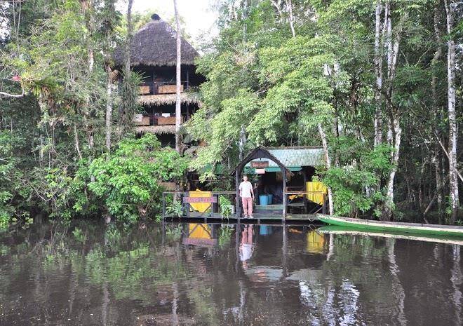 Tapir lodge