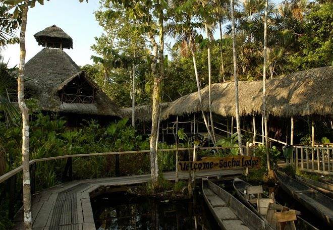 Sacha lodge