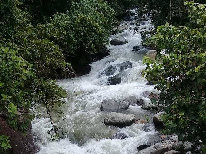 Riverside Eco Resort Image