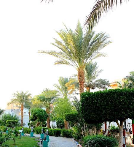 100 Night Per Year At Grand Blue Hotels Image