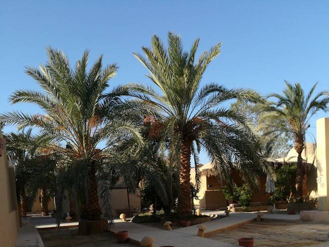 Badawiya farafra hotel