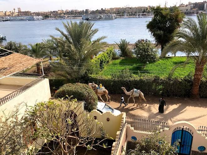 Sunny luxor