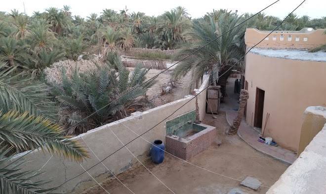 Siwa safari gardens hotel