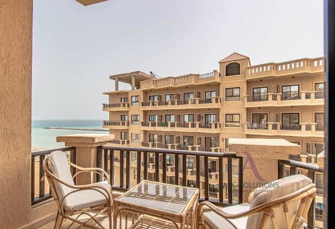 Seaview Turtles Image