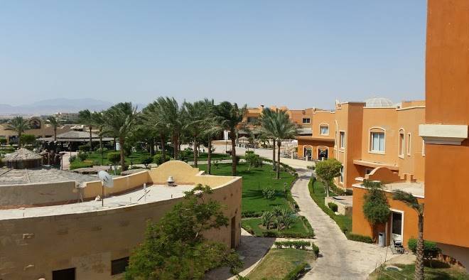 L'oasis de safaga