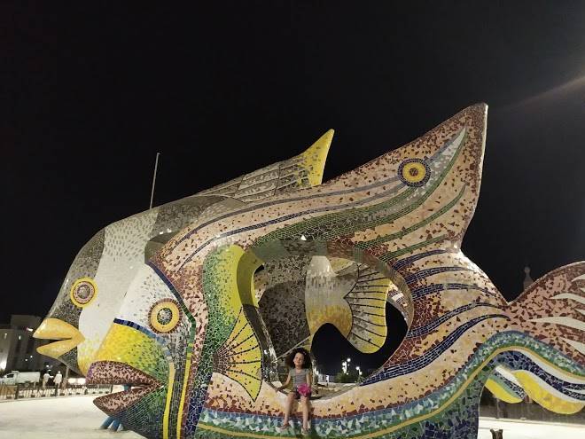 Dolphin hotel