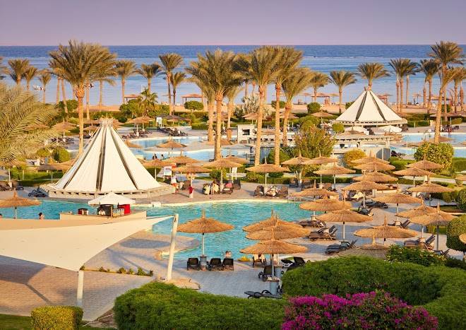 Coral sea water world