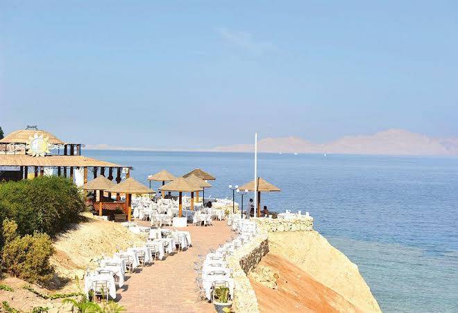 Domina coral bay harem