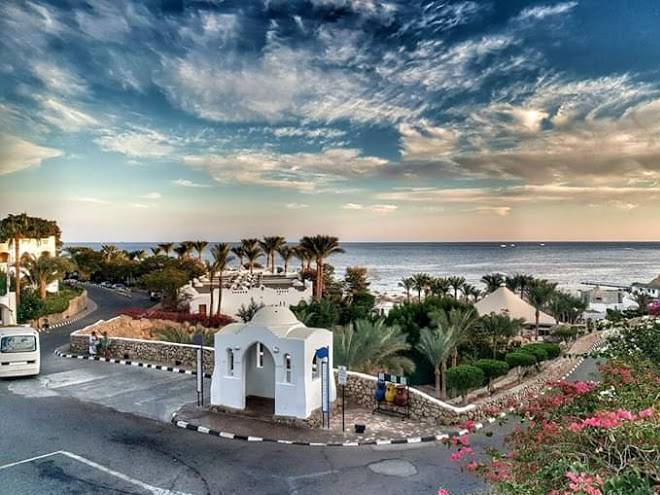 Domina coral bay