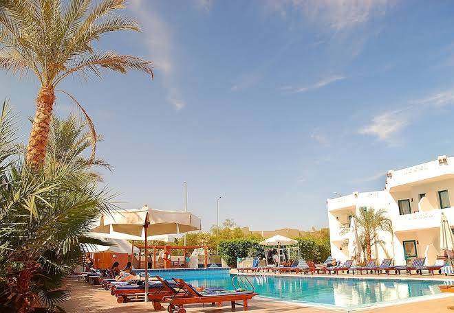 Ocean club hotel ocean sharm resort