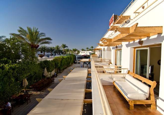 Oonas dive club