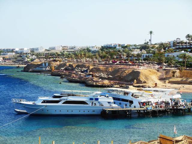 Sharks bay oasis