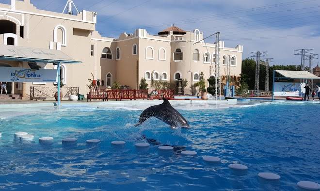 Zouara hotel dolphin