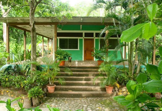 Hammock plantation