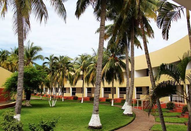 Hotel pacific paradise