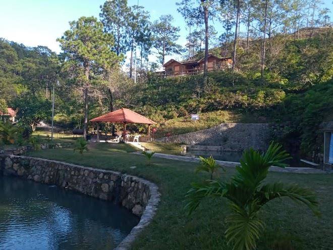 Arambala Carjo Image