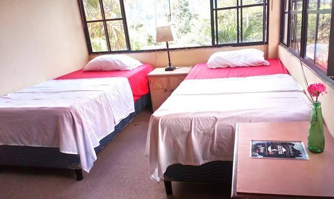 Los Cactus De Montefrio Image