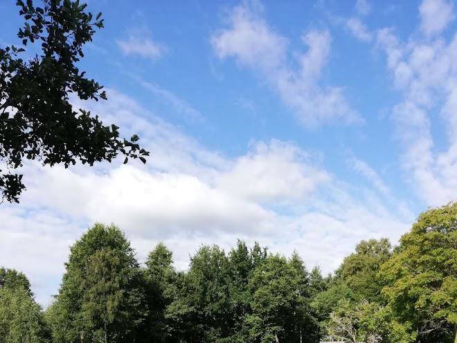 Nurga Holiday Homes Image