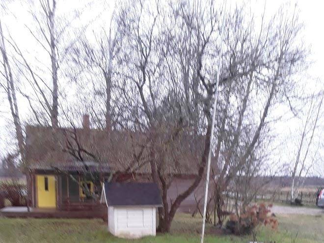Karu holiday home