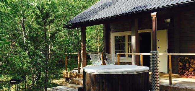 Hapsal forest cabin