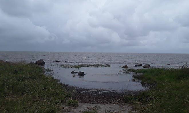 Naarismaa talu