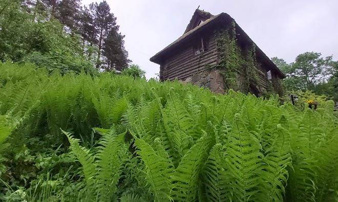 Kabliku farm