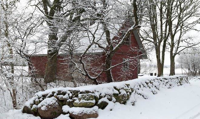Kivi Roosi Puhkemaja Image