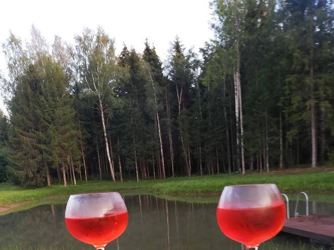 Vaike parna puhkemaja