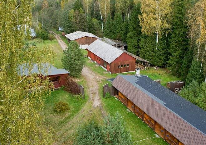 Kivi turismitalu
