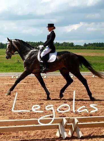 Liivaku stables