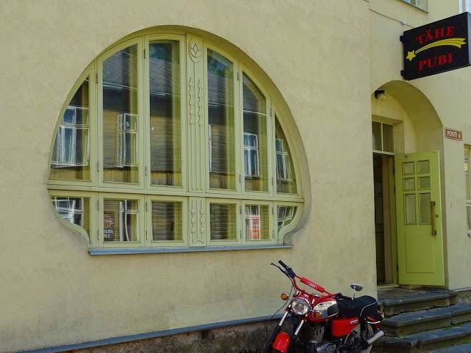 Tahe pubi