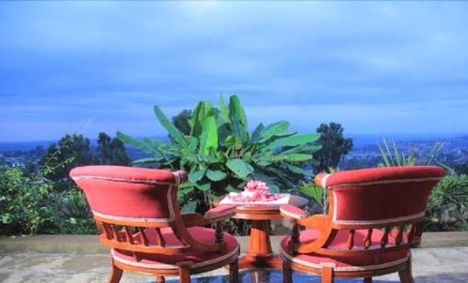 Lewi resort wolayita