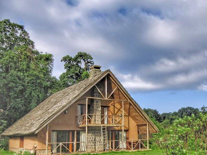 Bale mountain lodge