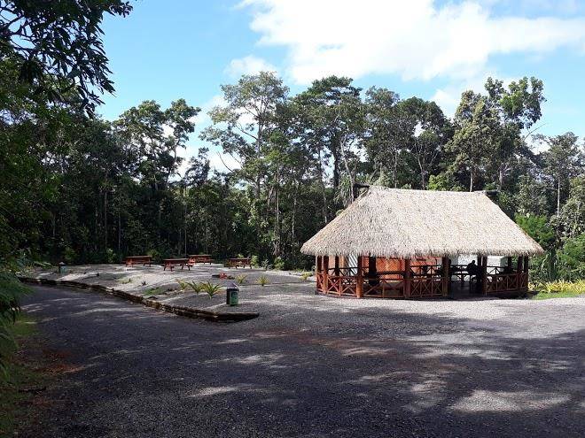 Colo i suva rainforest eco resort suva