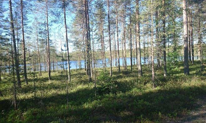 Came to the lake huts