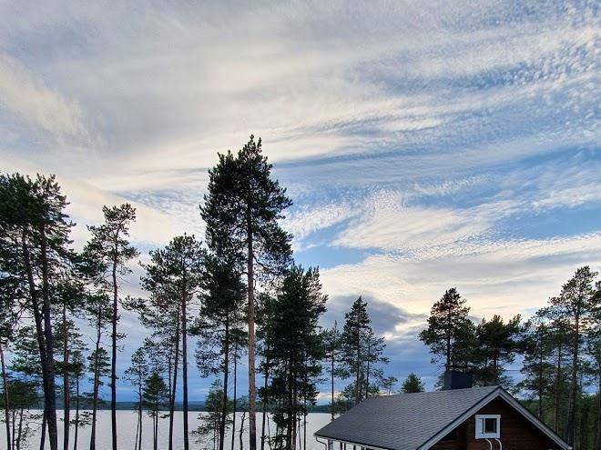 Autumn leaf ivalo
