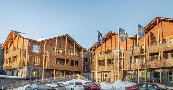 Levi suites levi gold
