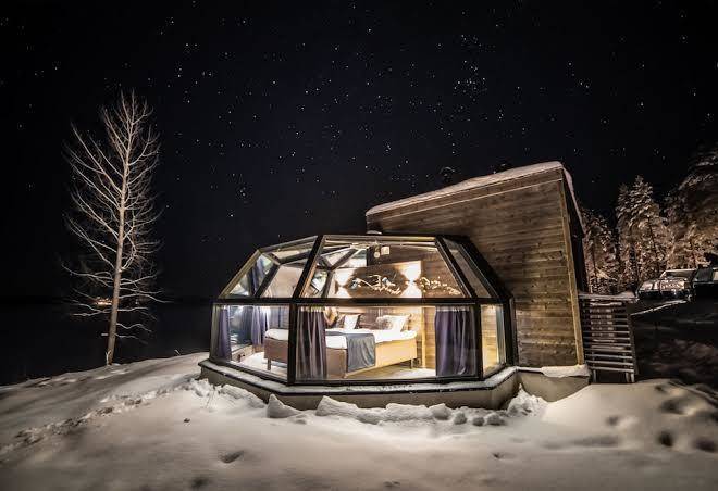 Arctic fox igloos