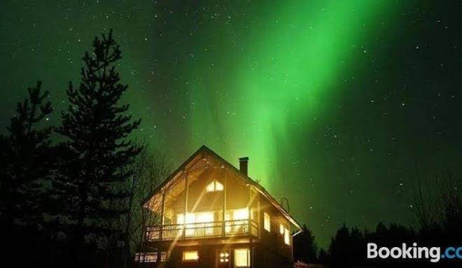 Aurora nest