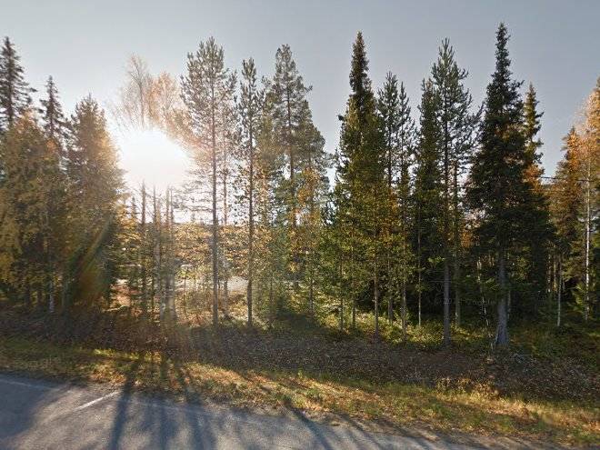 Flying reindeer resort