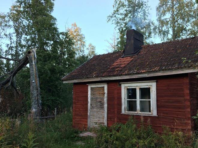 Maukkulan mustikkamaki oy