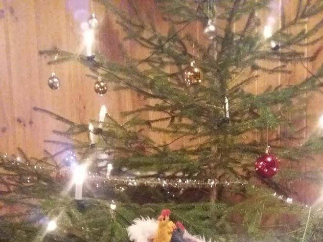 Koskelon lomamokit ja marjatila